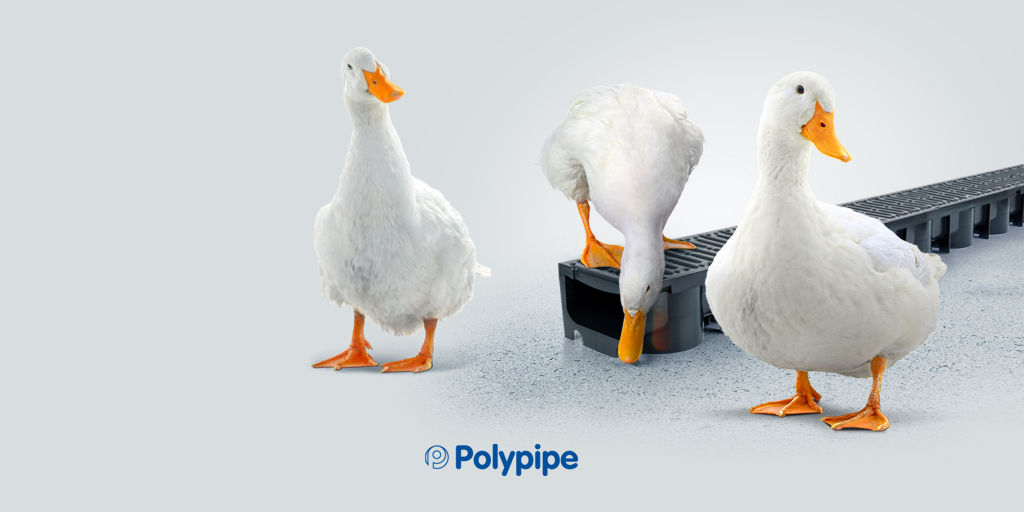 Polypipe Channel Drain: Disappointing Ducks for over 20 Years