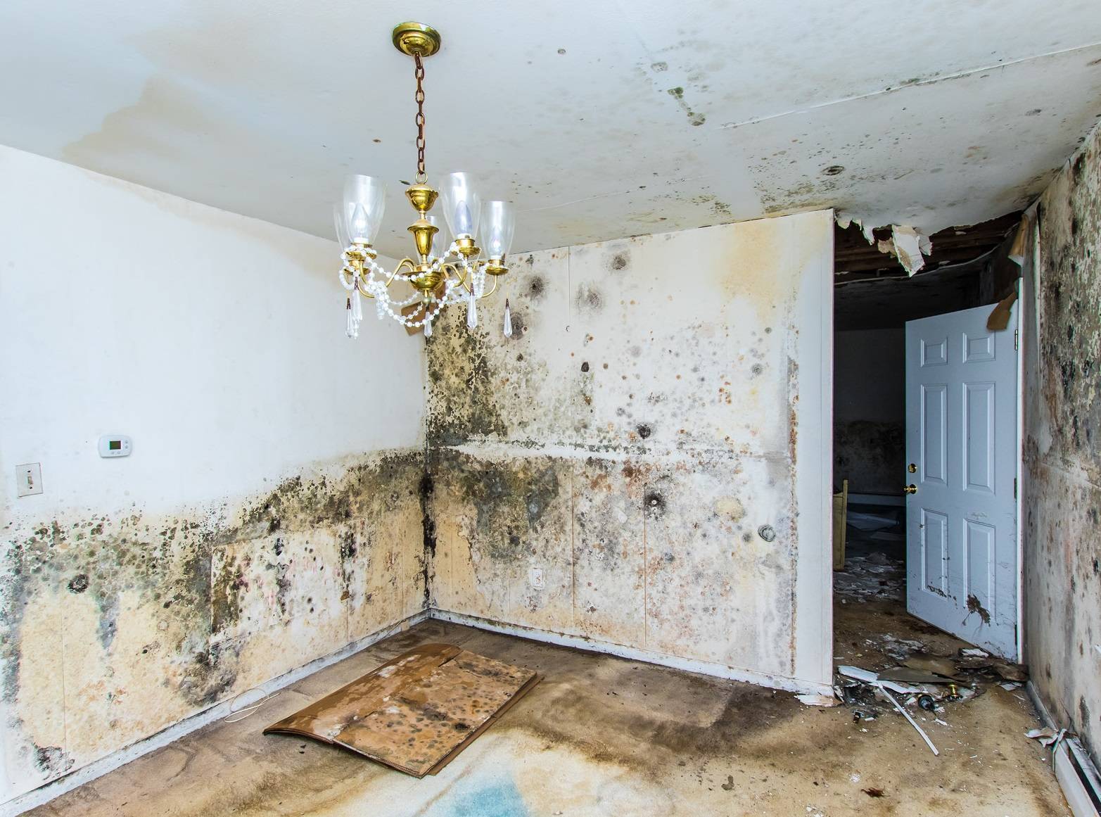 How much damage can a leak from a frozen pipe cause? Surestop explains...